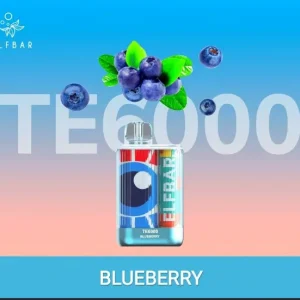 ELFBAR 6000PUFFS BLUEBERRY