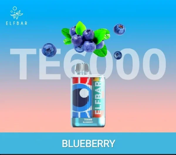 ELFBAR 6000PUFFS BLUEBERRY