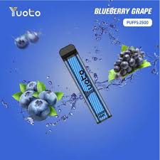 Yuoto xxl 2500 Blueberry grape