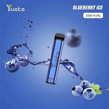 Yuoto xxl 2500 Blueberry on ice