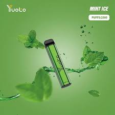 Yuoto xxl 2500 Mint ice