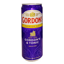 gordons dry and tonic 330ml